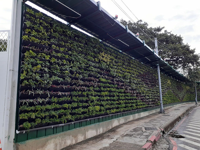 遠東國際會議中心興建_植生牆