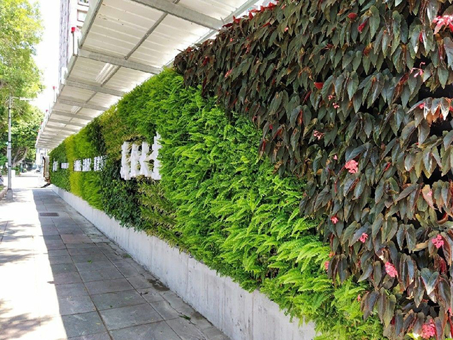 安全走廊圍籬及植生牆綠美化